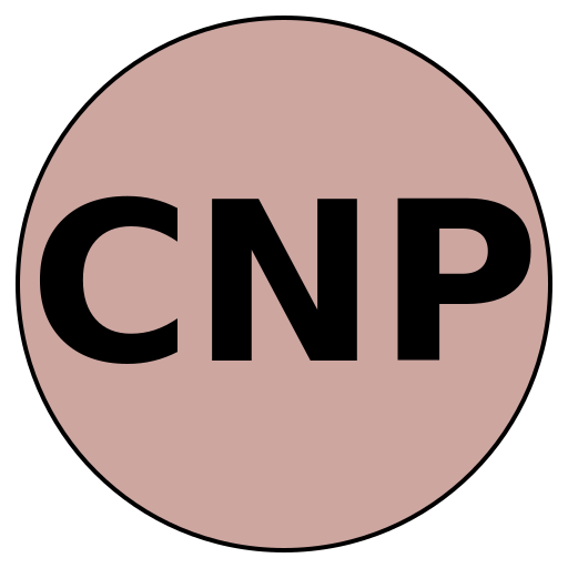 CareerNav Pro